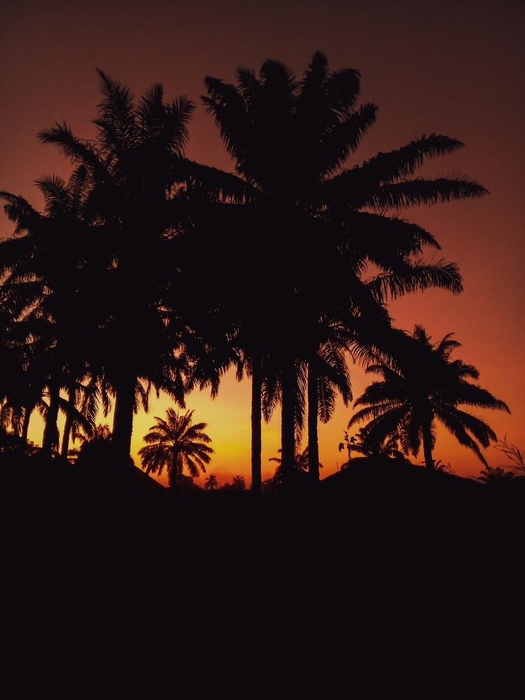 Photograph by Mariam Iheanyi