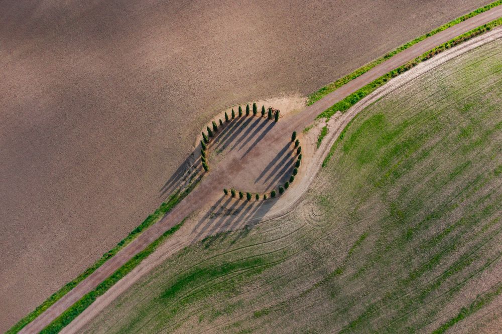 Cypresses of San Quirico d'Orcia, Tuscany