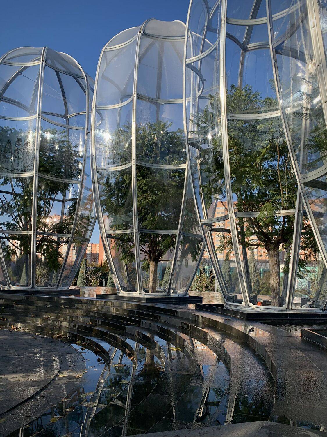 Фотография #8454531