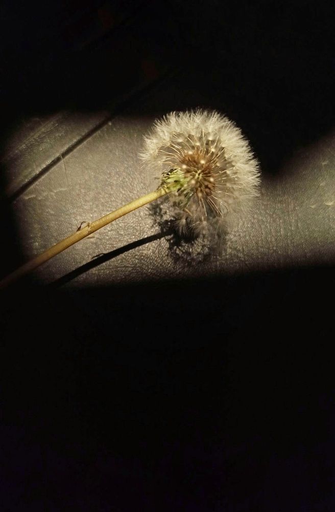 Photograph by Долгушева Татьяна