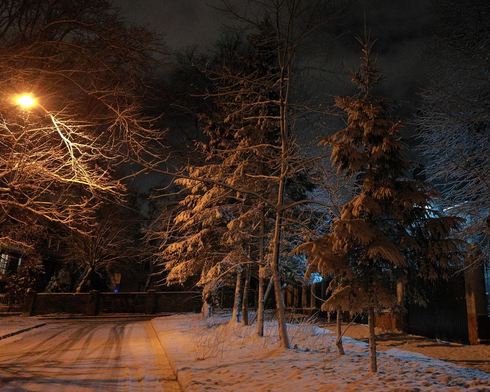 Photograph by Владимир Чернышов