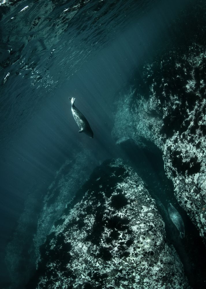 ПОДВОДНЫЕ ЛАБИРИНТЫ