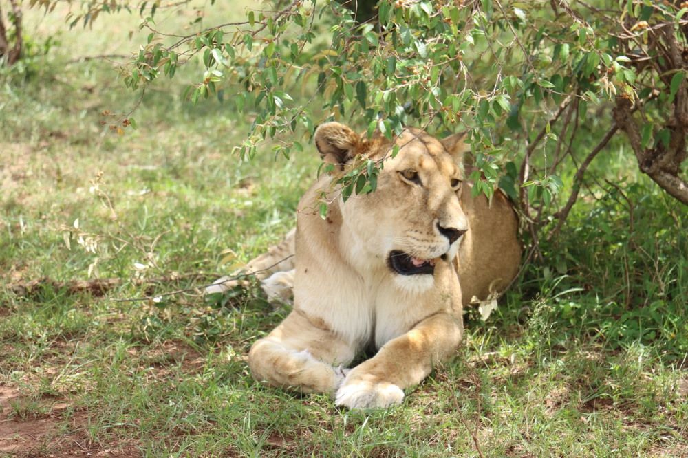 Фотография автора Sugandha