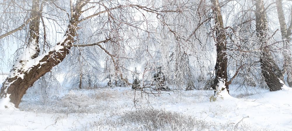 Photograph by Татьяна Романова