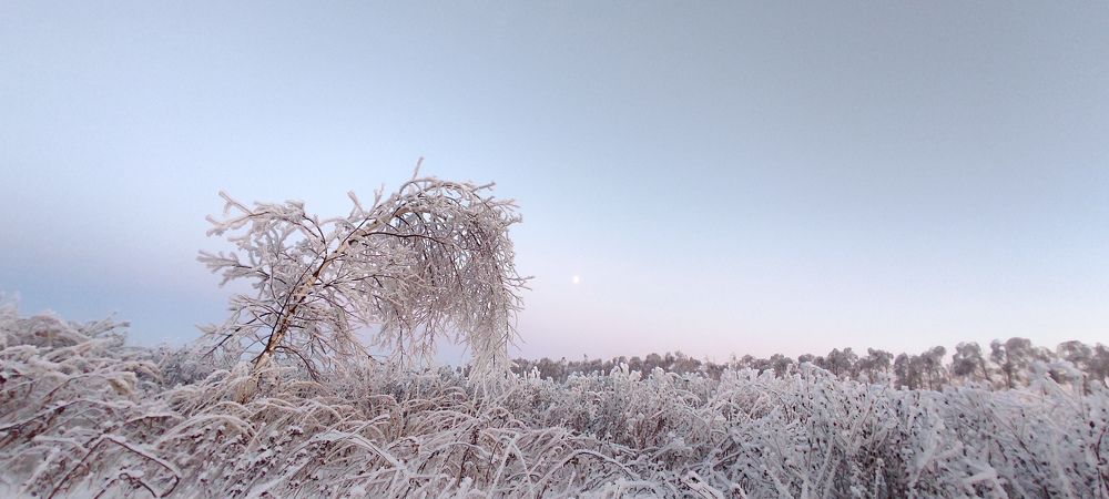 "Во поле береза..."