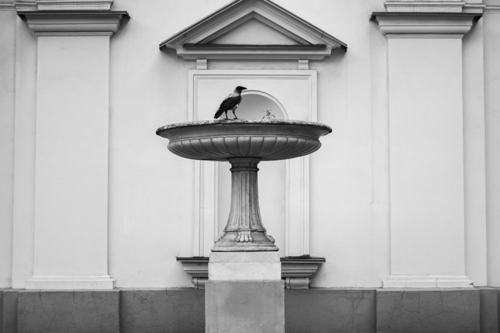 Photograph by Макс