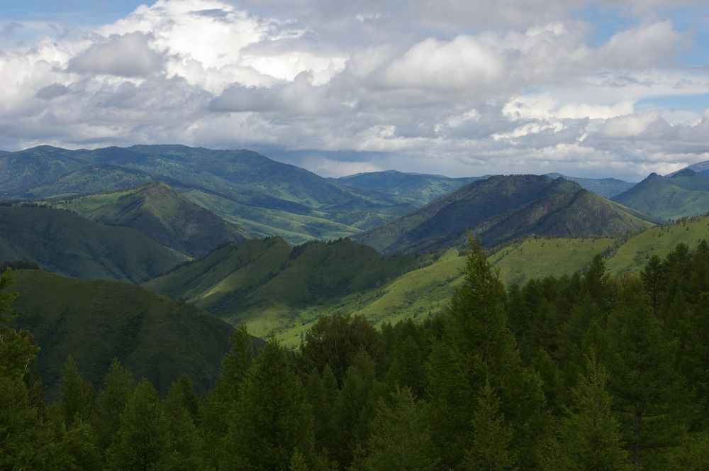 Photograph by Елена Алешкевич