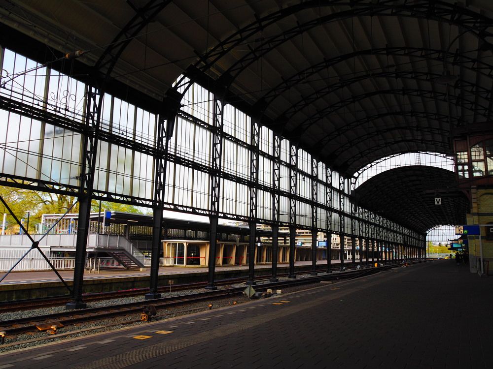 Фотография автора Madina Musaeva