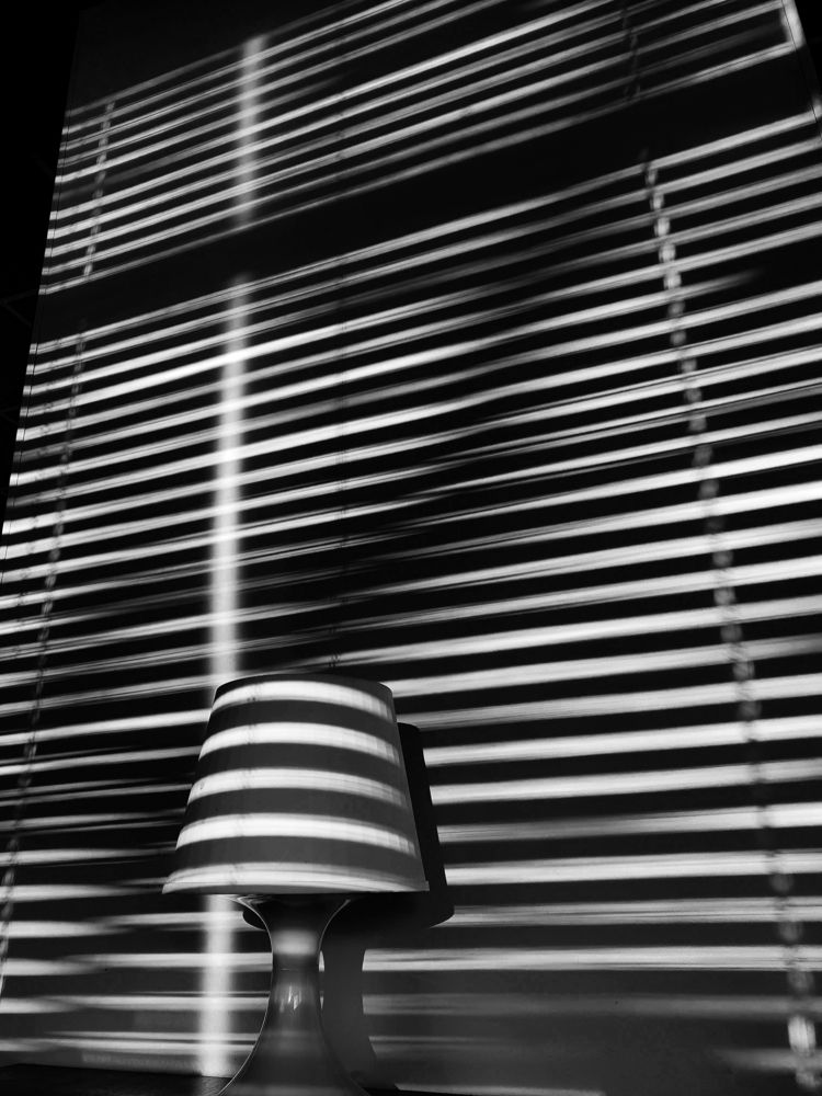 Photograph by Буданова Мария