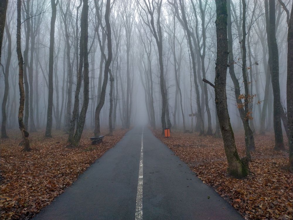 Photograph by Виталий Маслов