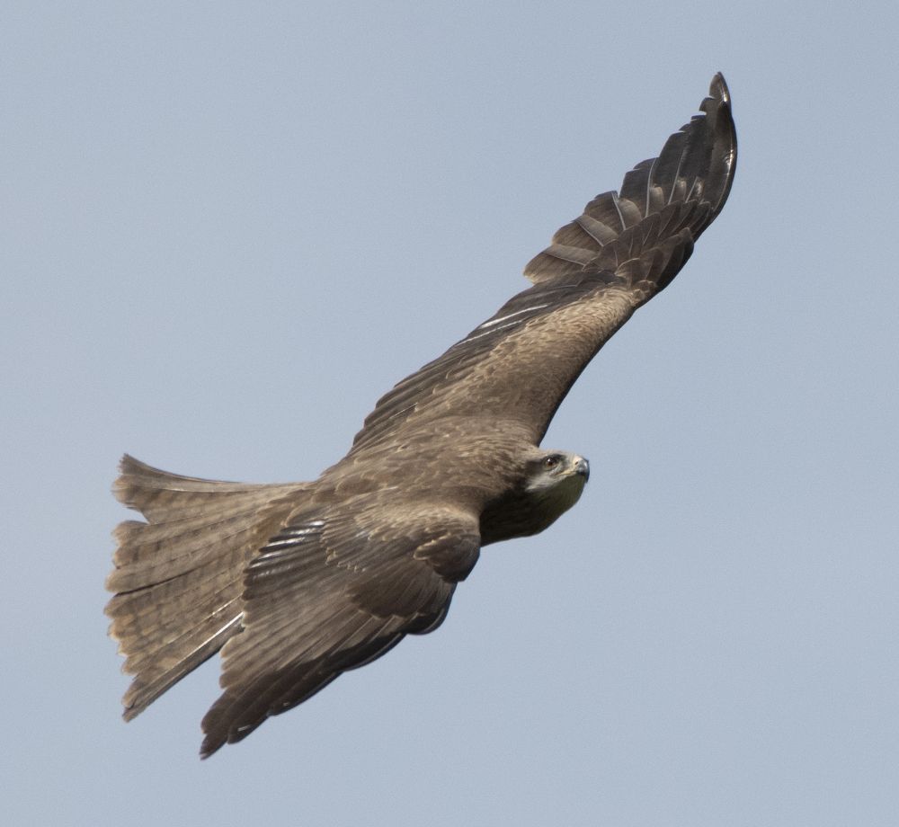 Photograph by Сергей Шерстнев