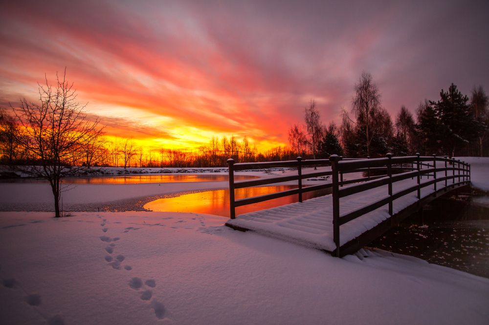 Photograph by andrei zorin