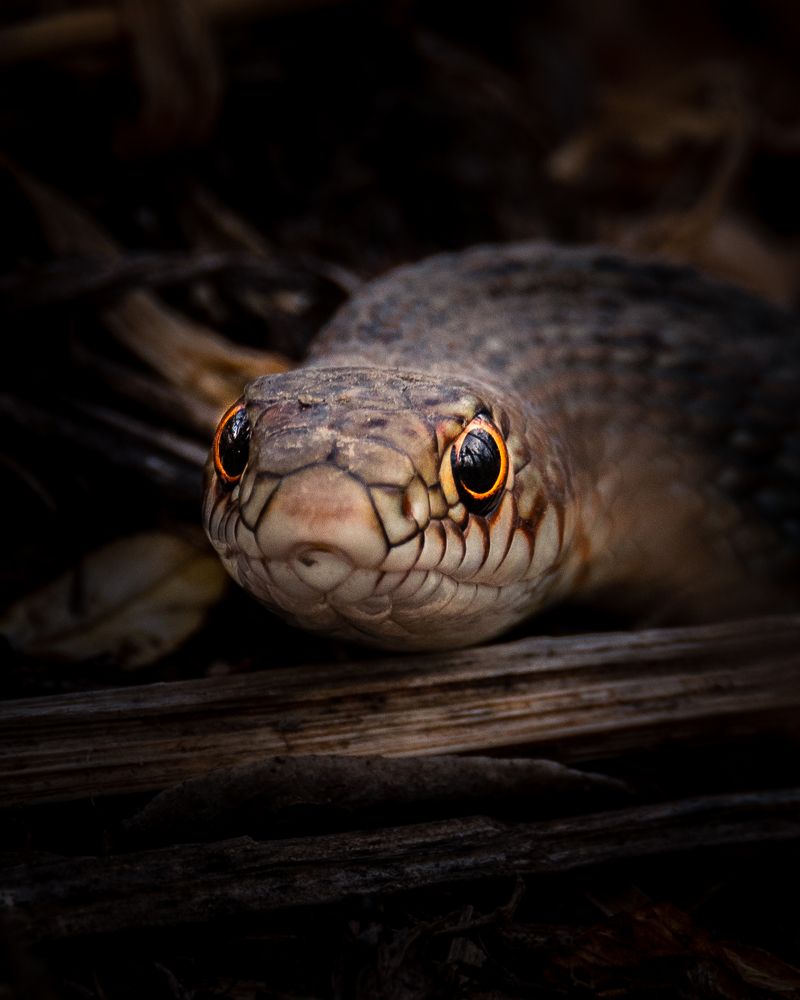 Photograph by Рамзан Давлетмирзаев