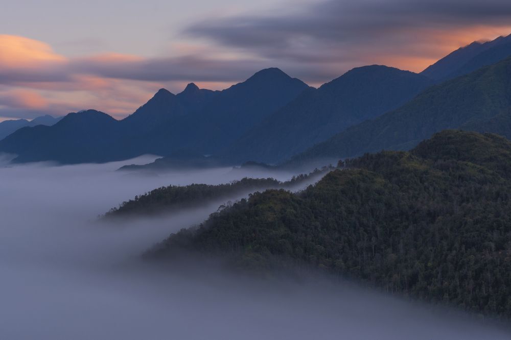 Photograph by Lạc Cơ