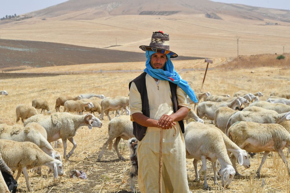 Photograph by Mohamed Kaouche