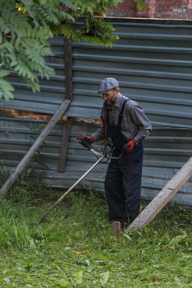 Photograph by Елизавета Комарова