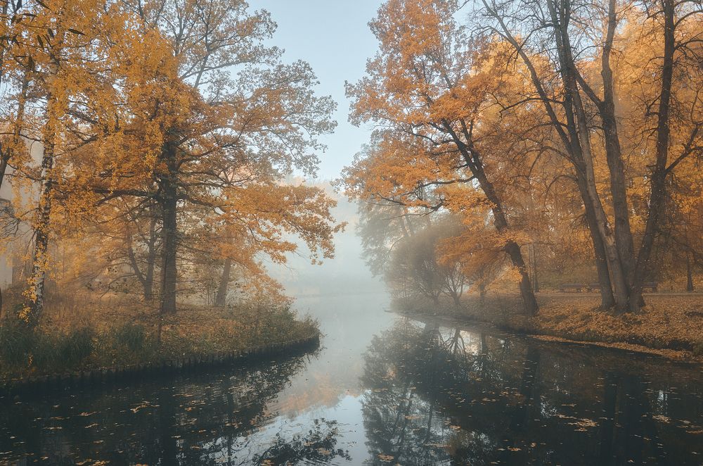 Photograph by Александр Гришин