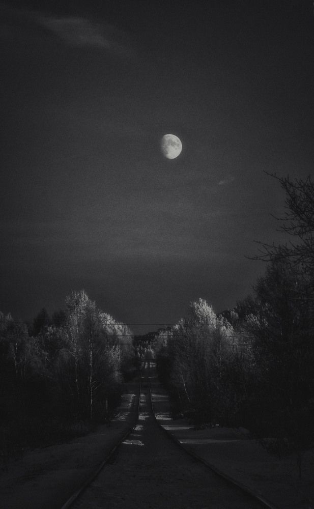 Photograph by Юлия Лушникова