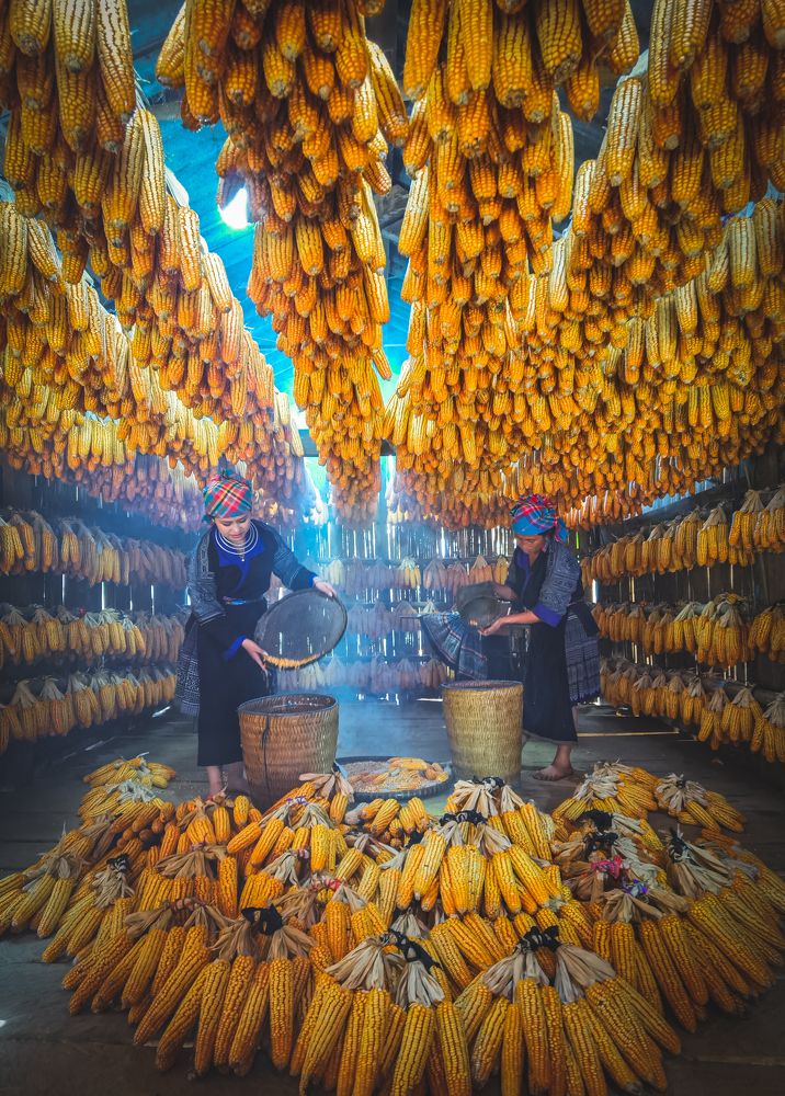 Photograph by Tran Phuong