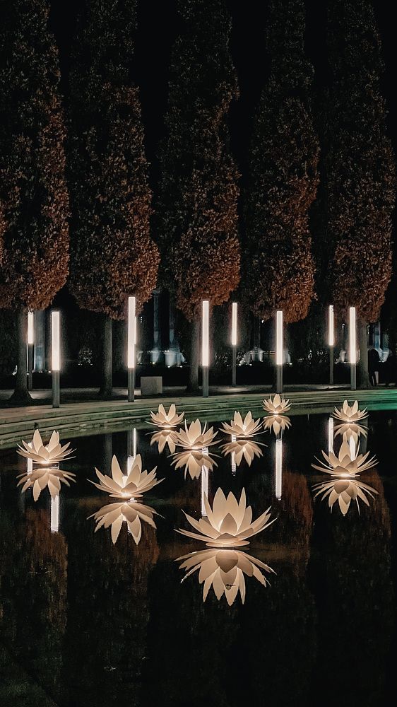 Парк Краснодар.