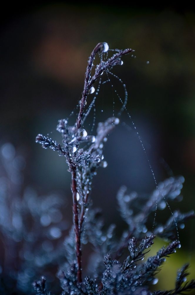 Photograph by Артём Амельянчик