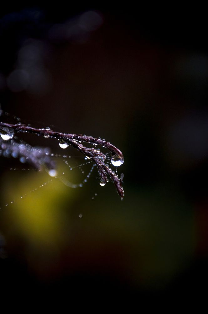 Photograph by Артём Амельянчик