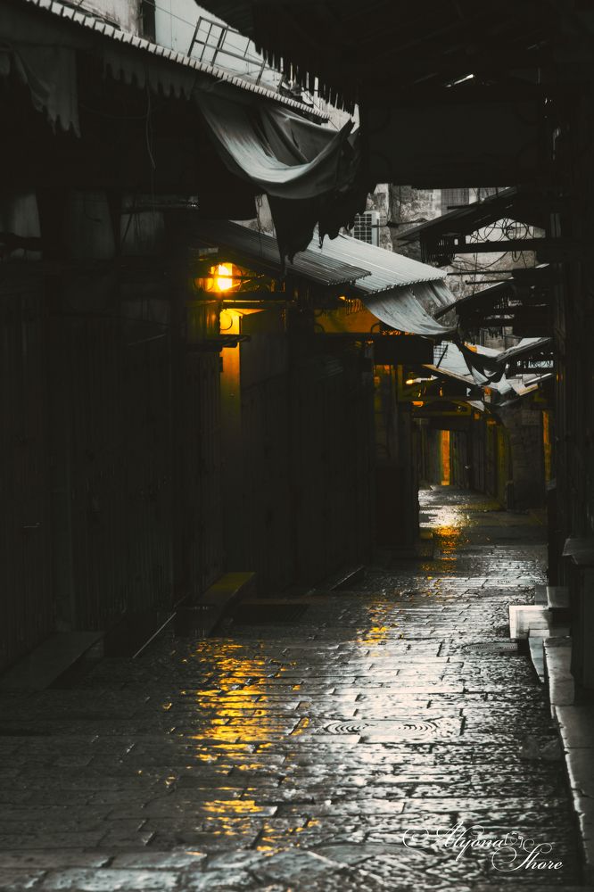 Photograph by Alyona Shore