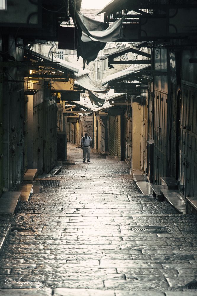 Photograph by Alyona Shore