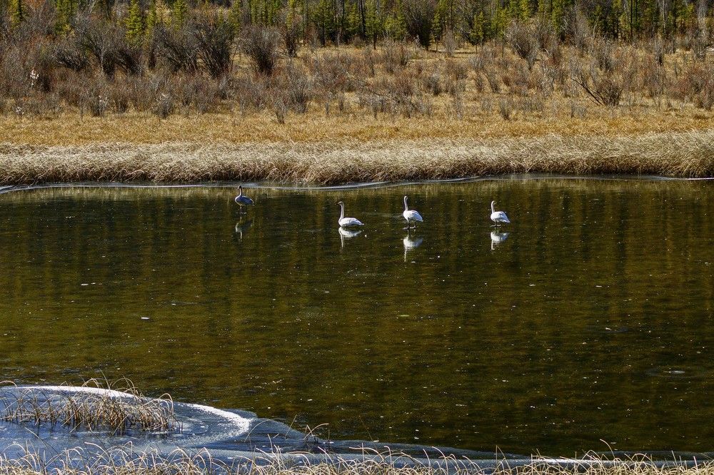 Photograph by Юлия Силина