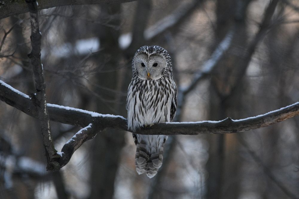 Photograph by Виталий Попов