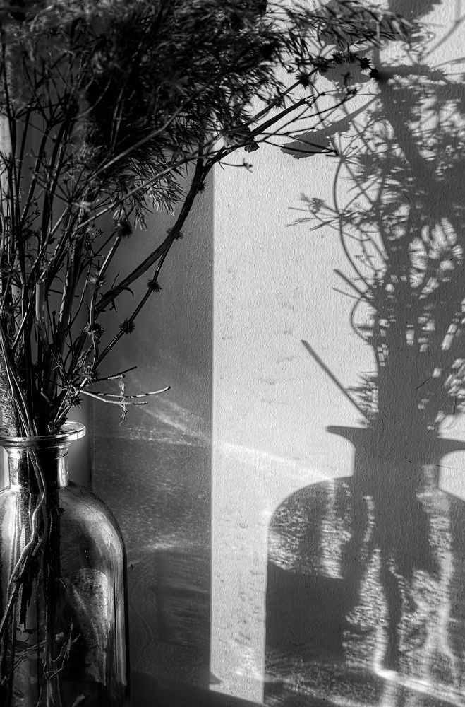 Photograph by Olga Asson