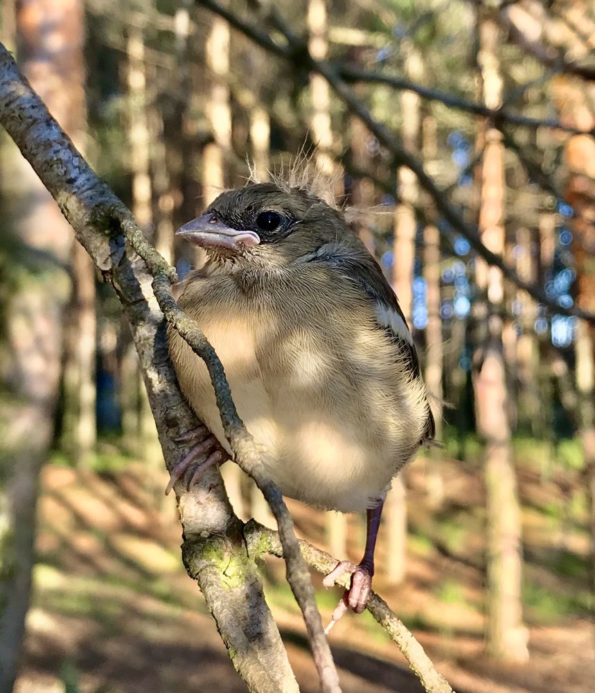 Photograph by Шестакова Наталья