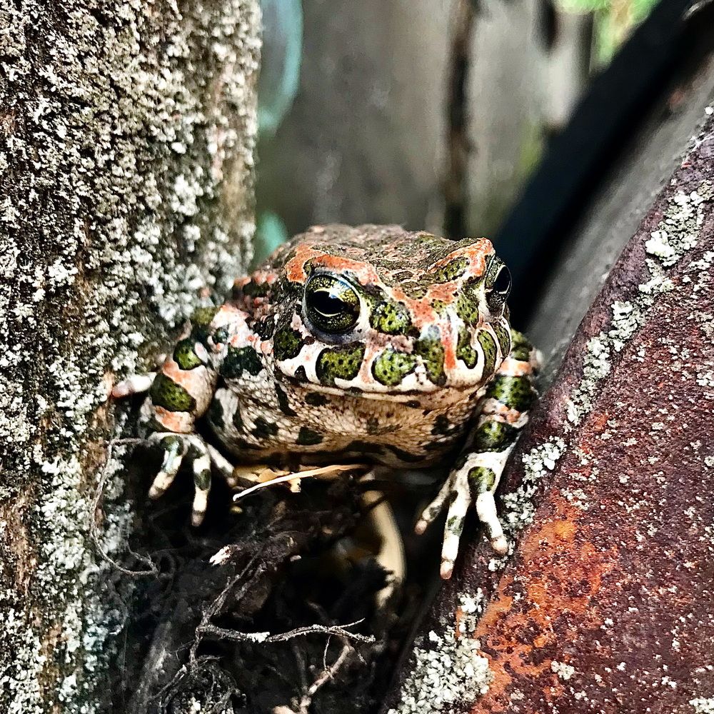 Photograph by Шестакова Наталья