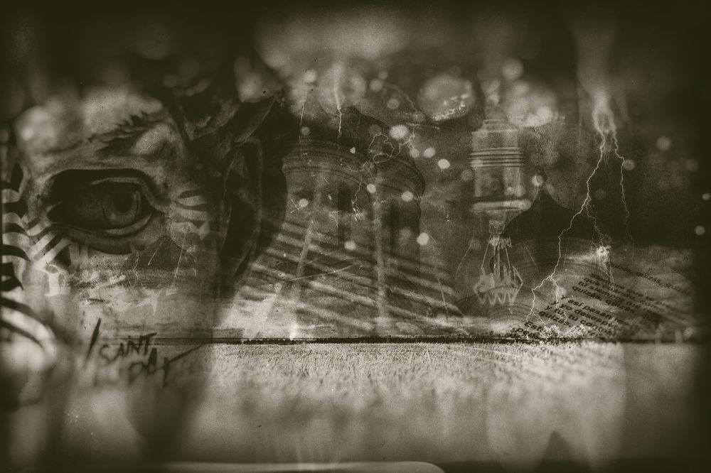 Photograph by Roman Adler