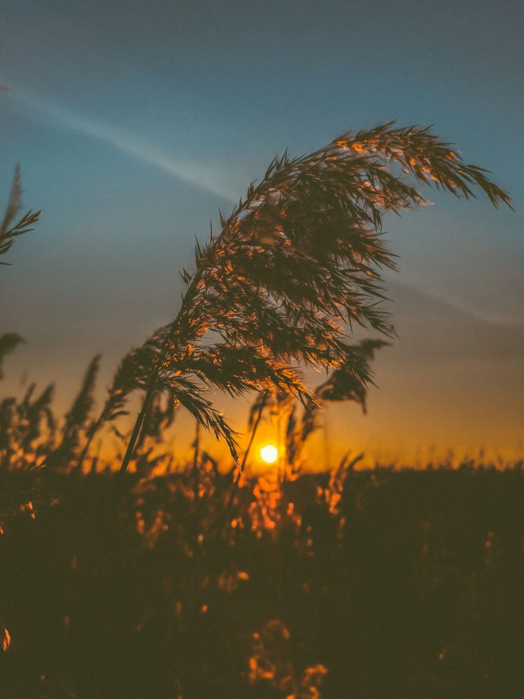 Photograph by Алёна Красова