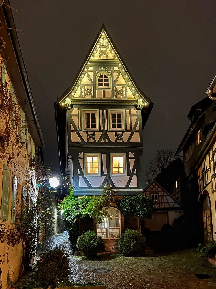 Photograph by Alexander Siemens