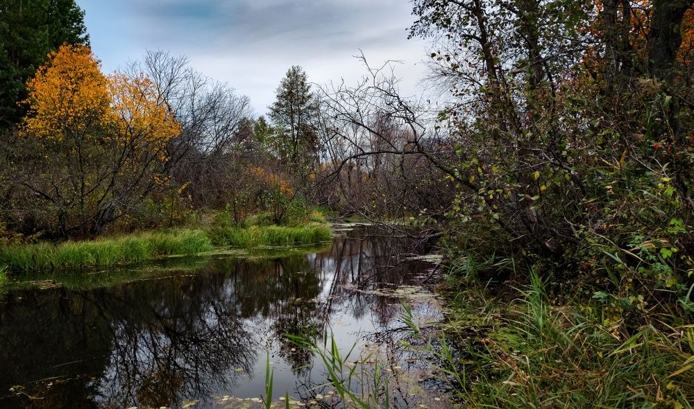 Photograph by Сергей Горбунов