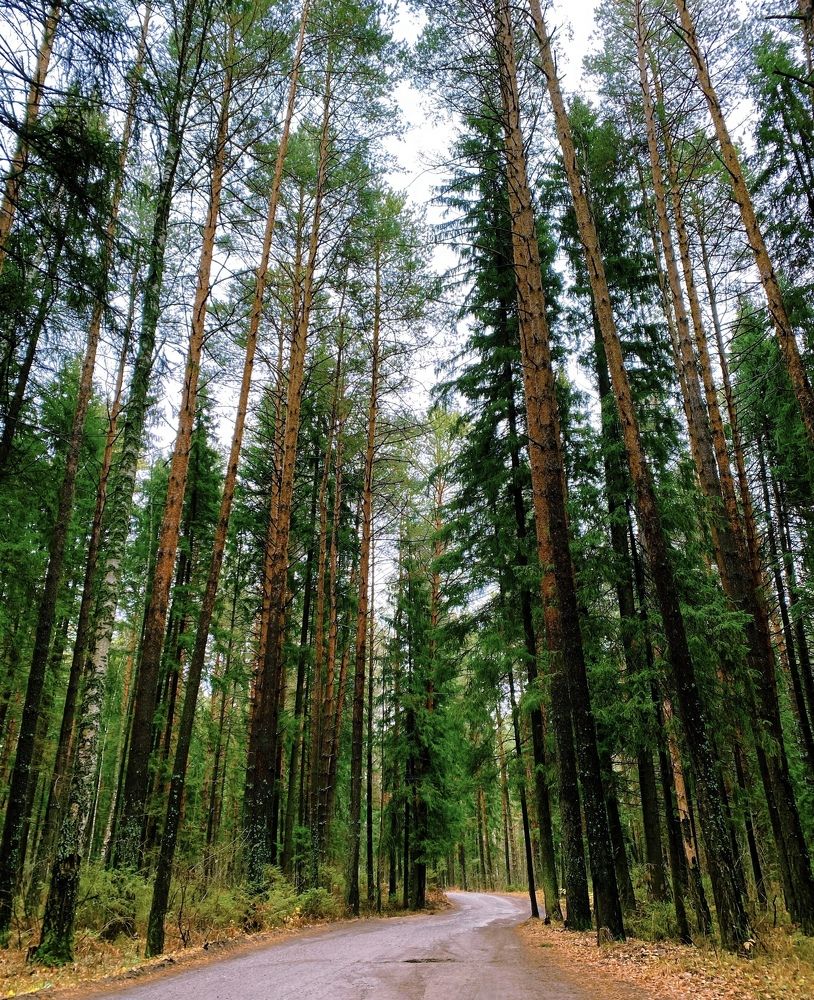 Photograph by Есения  Марванова