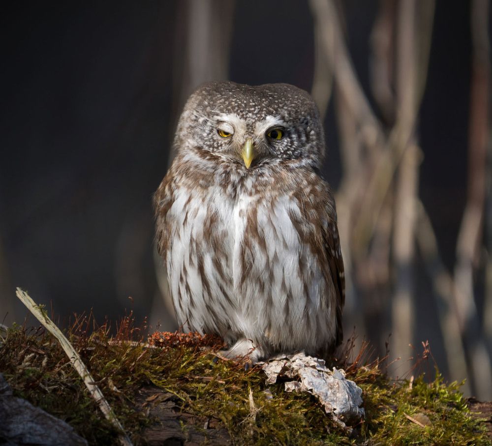 Photograph by Юрий Андреев