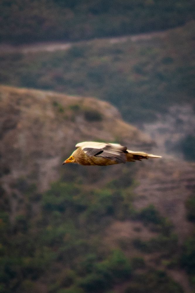 Photograph by Дамир Давронов