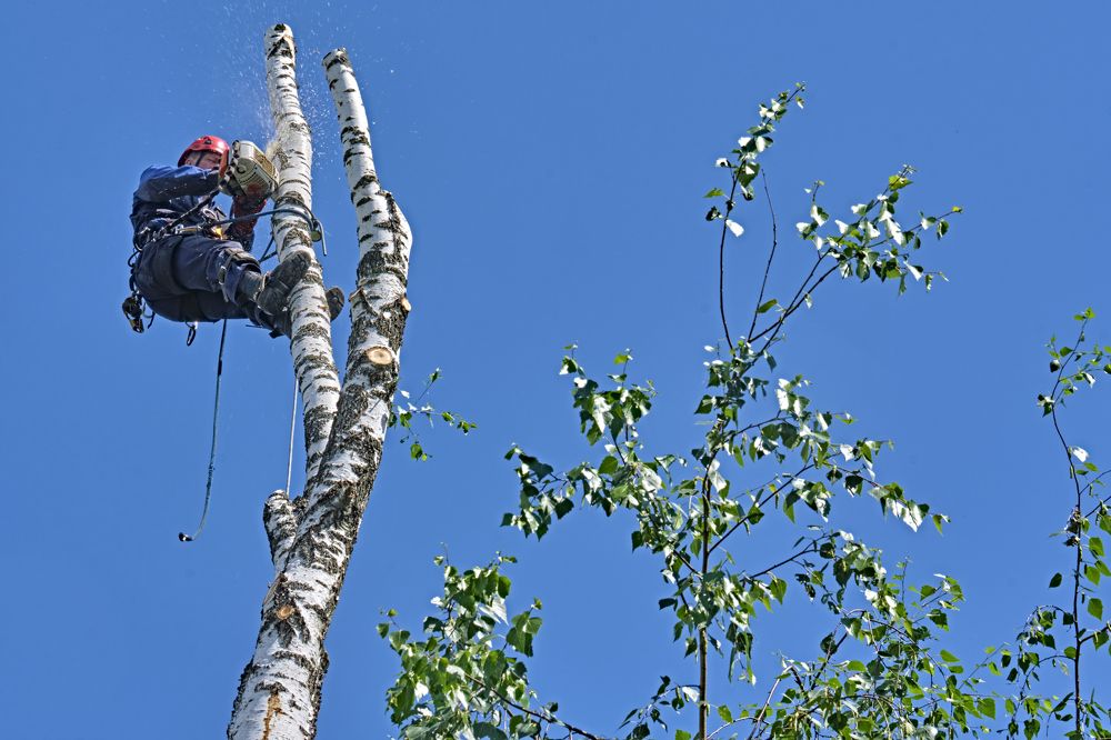 Photograph by Руслан Ибрагимов