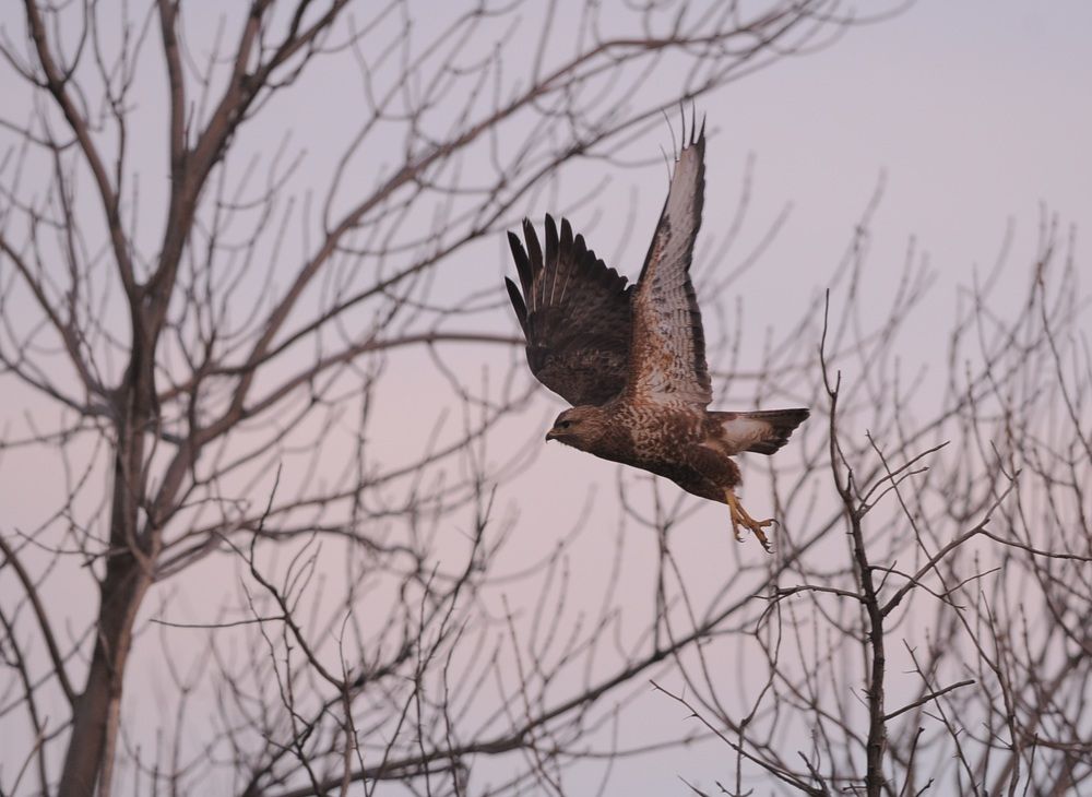Photograph by Наталья Анисимова