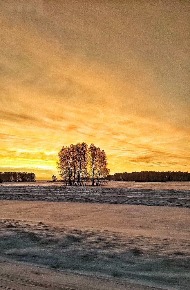 Фотография автора Екатерина Шеметова