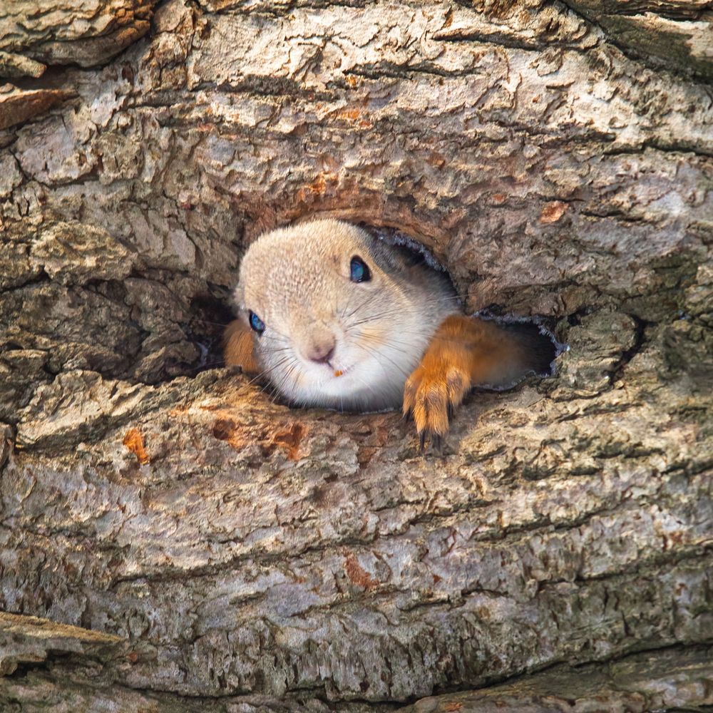 Photograph by Власов Егор