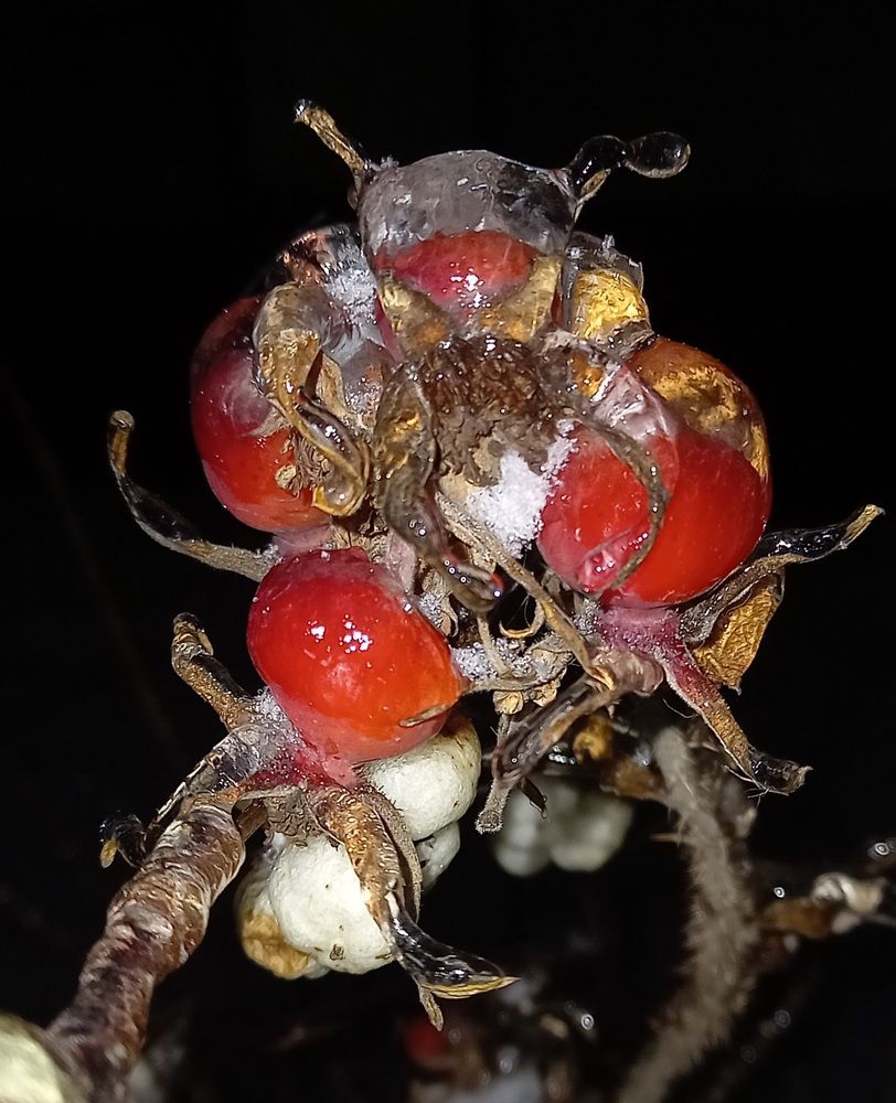 Photograph by Ольга