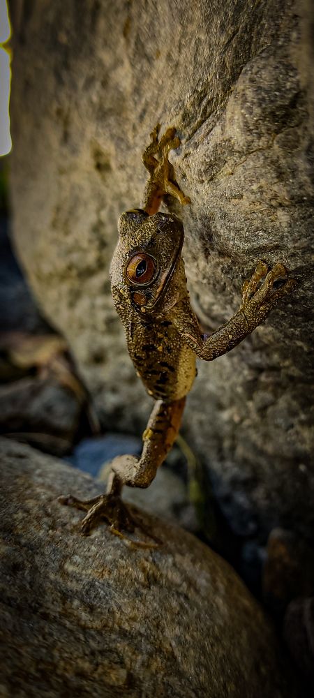 Photograph by Abimael Veliz salvatierra