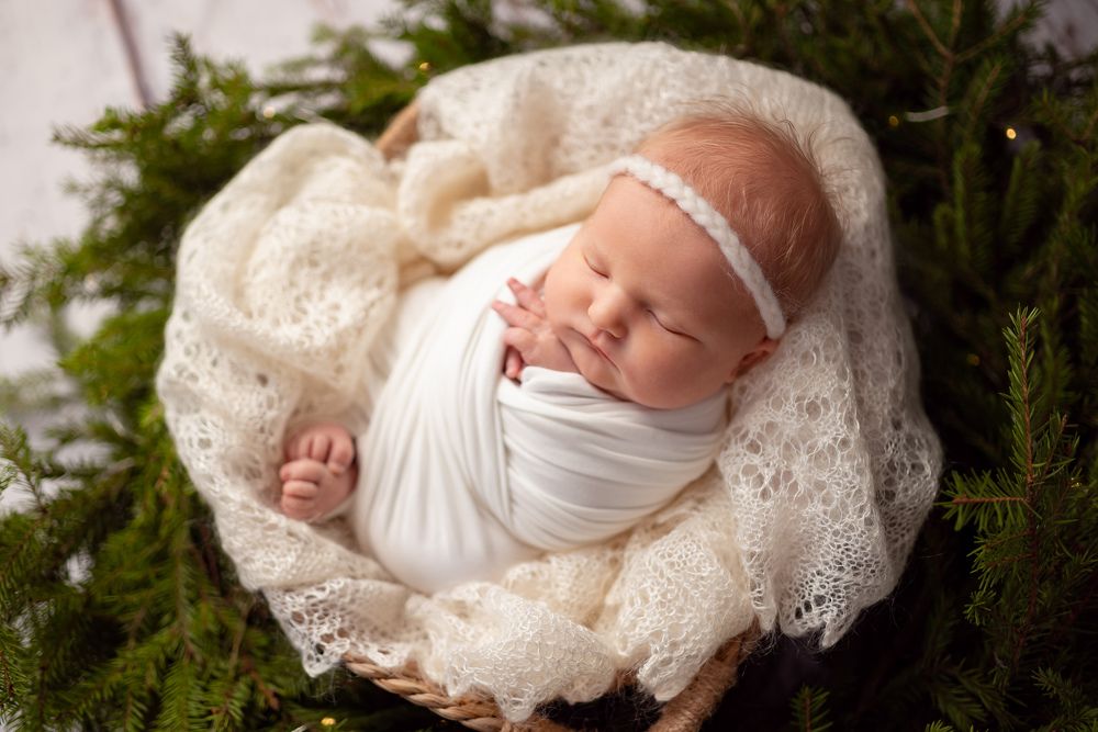 Photograph by Виктория Судницына