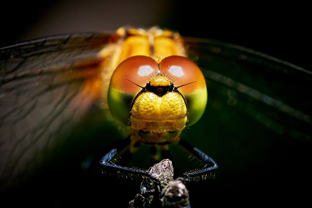 Photograph by Игорь Тымчук