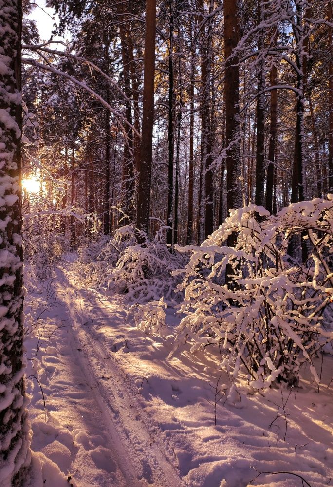 Photograph by anka Bay_