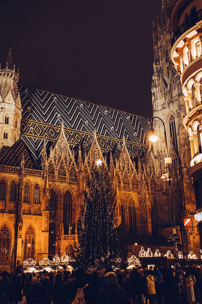 Photograph by Жорнова Светлана